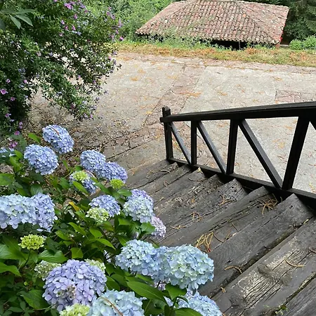 Apartmán En Redes 4 *