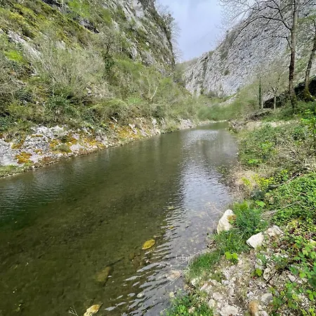 En Redes 4 Rioseco (Asturias)