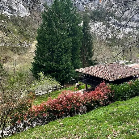 Appartement En Redes 4